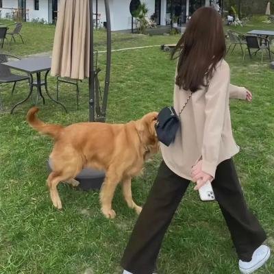 弹头奇兵
